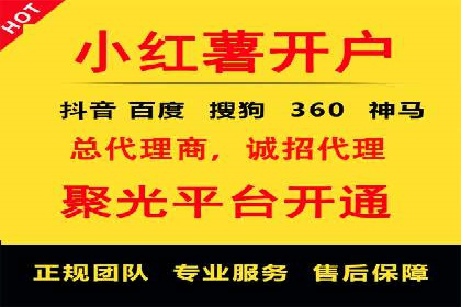 百度优化推广案例：快速提升网站排名